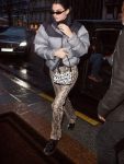 Kendall Jenner Padded Cropped Puffer Jacket