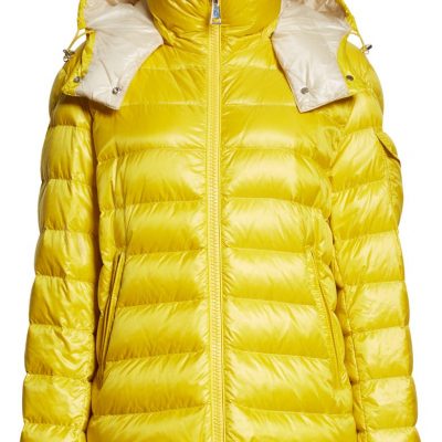 Dalles Water Resistant Down Puffer Jacket MONCLER