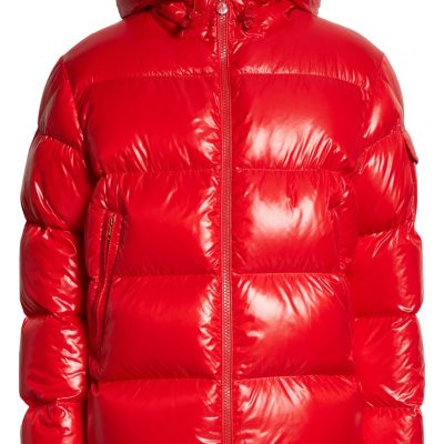 Ecrins Hooded Down Puffer Jacket MONCLER