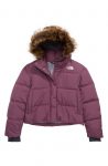 the-north-face-dealio-city-water-repellent-550-fill-power-down-jacket1