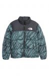 the-north-face-mens-1996-retro-nuptse-700-fill-power-down-jacket2