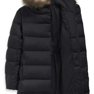 New Dealio Water Repellent 550 Fill Power Down Parka THE NORTH FACE