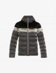 woodpecker-sparrow-brand-patch-shell-hooded-jacket